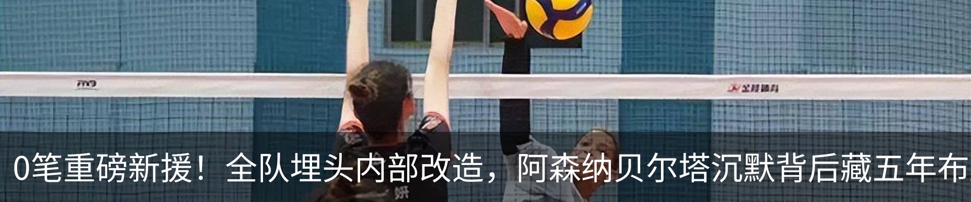 最新动态